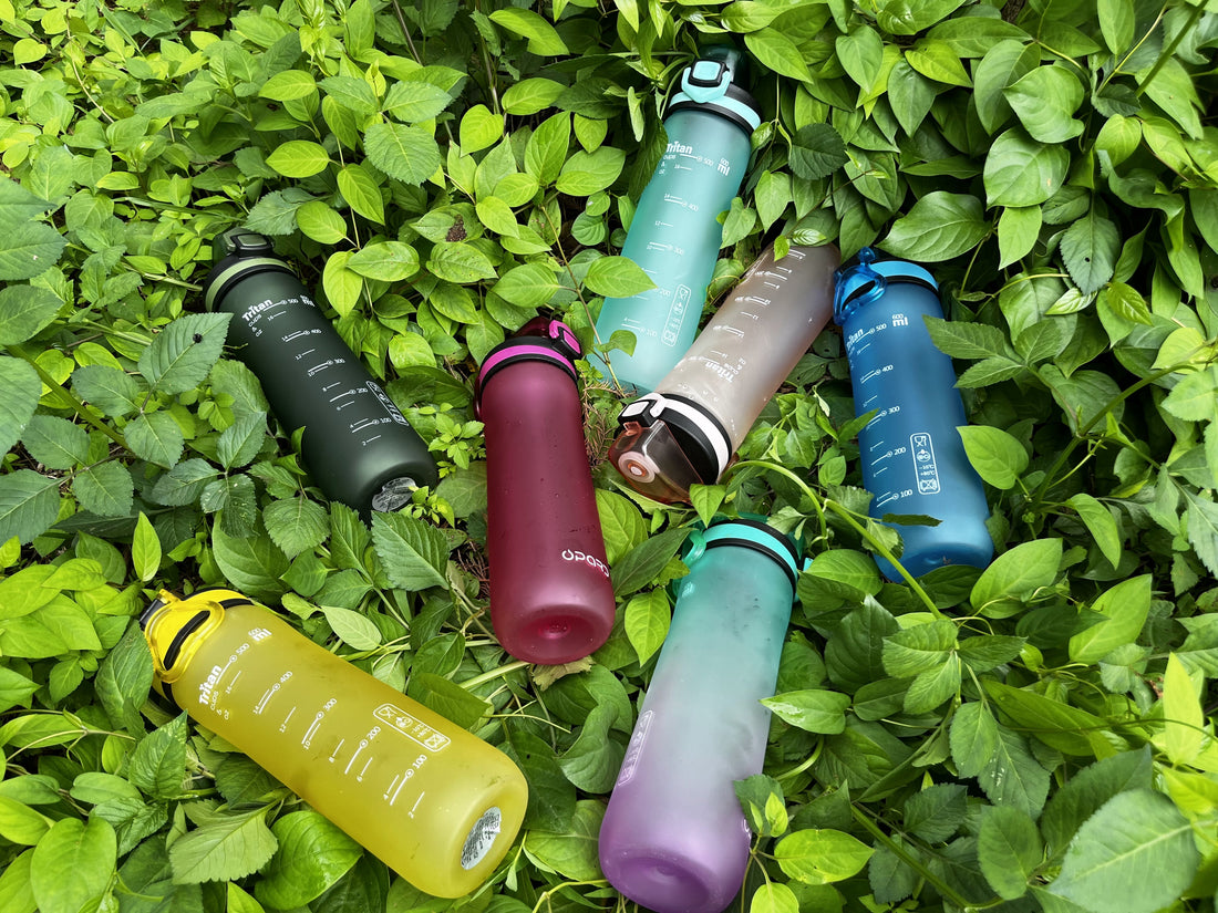 Sustainable Plastic Recycling Program by opard: Promoting Coexistence Between Humans and Marine Life Opard