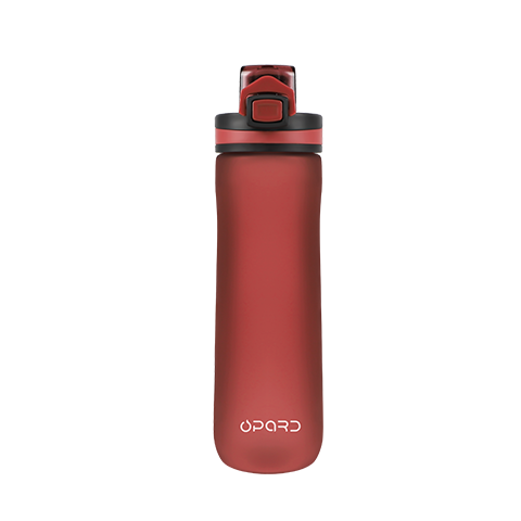 20oz Flip-Top Tritan Bottle