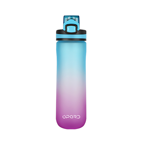 20oz Flip-Top Tritan Bottle